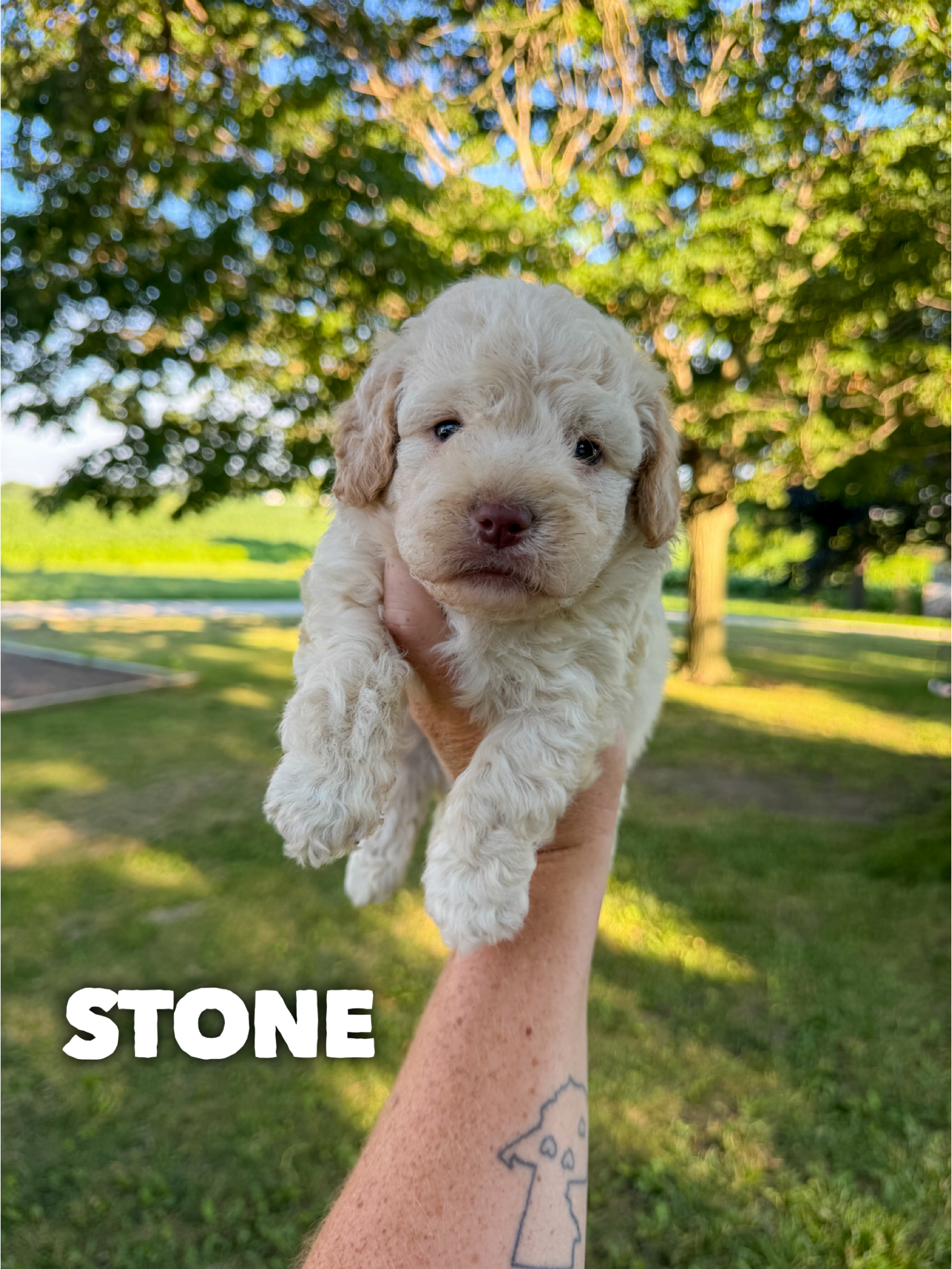 Stone 2